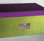 Pandor parcel box